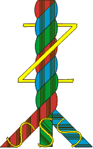 s/Z gedrehter Zwirn; N�hfaden